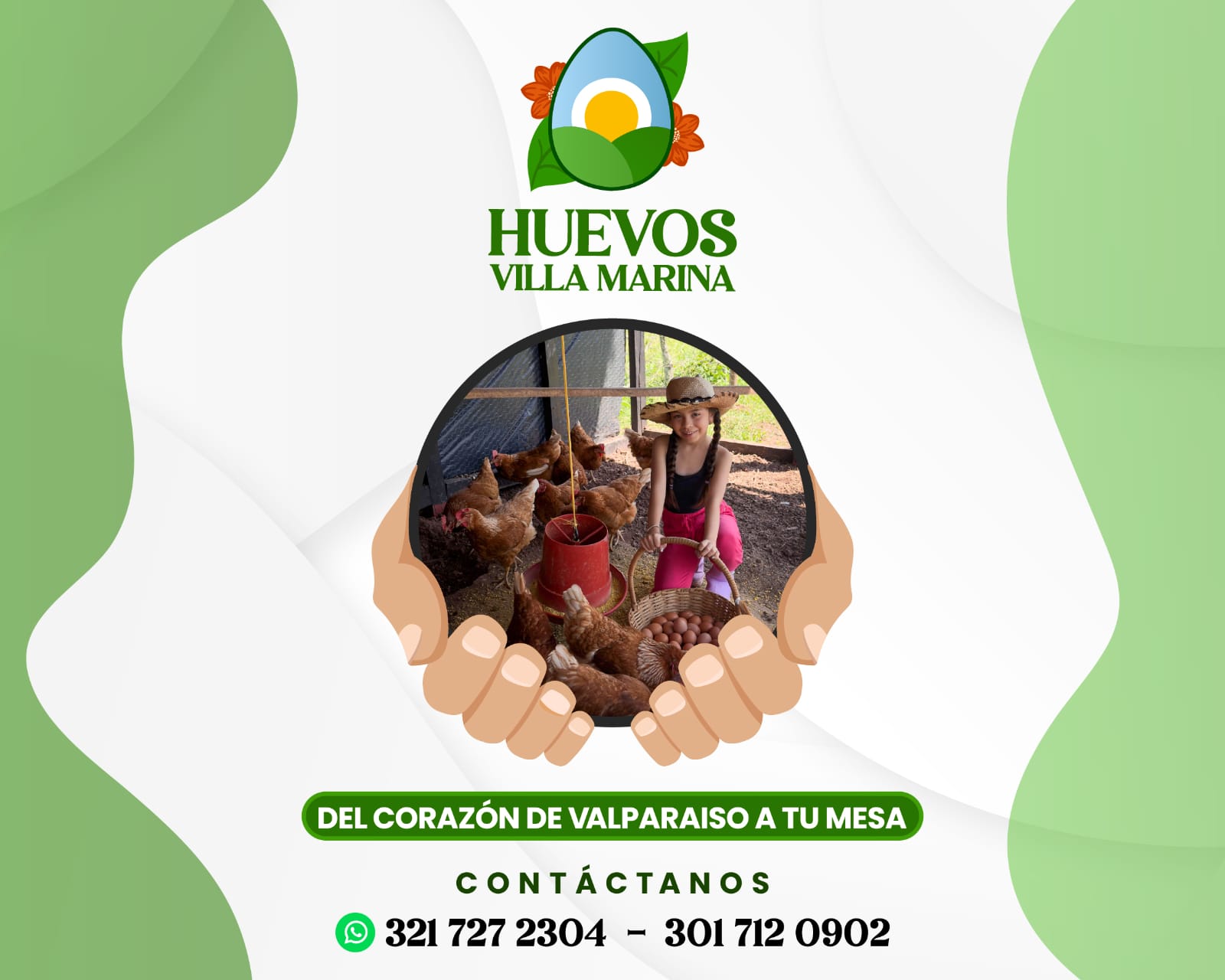 Pieza gráfica de Huevos Villa Marina: del corazón de Valparaíso a tu mesa. Contáctanos.