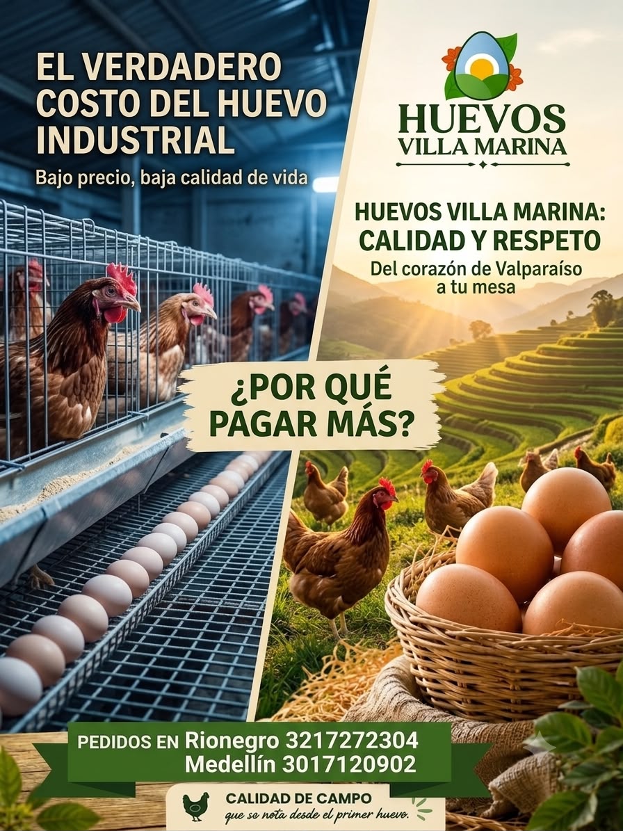 Afiche de Huevos Villa Marina comparando el huevo industrial de jaula con el huevo de campo