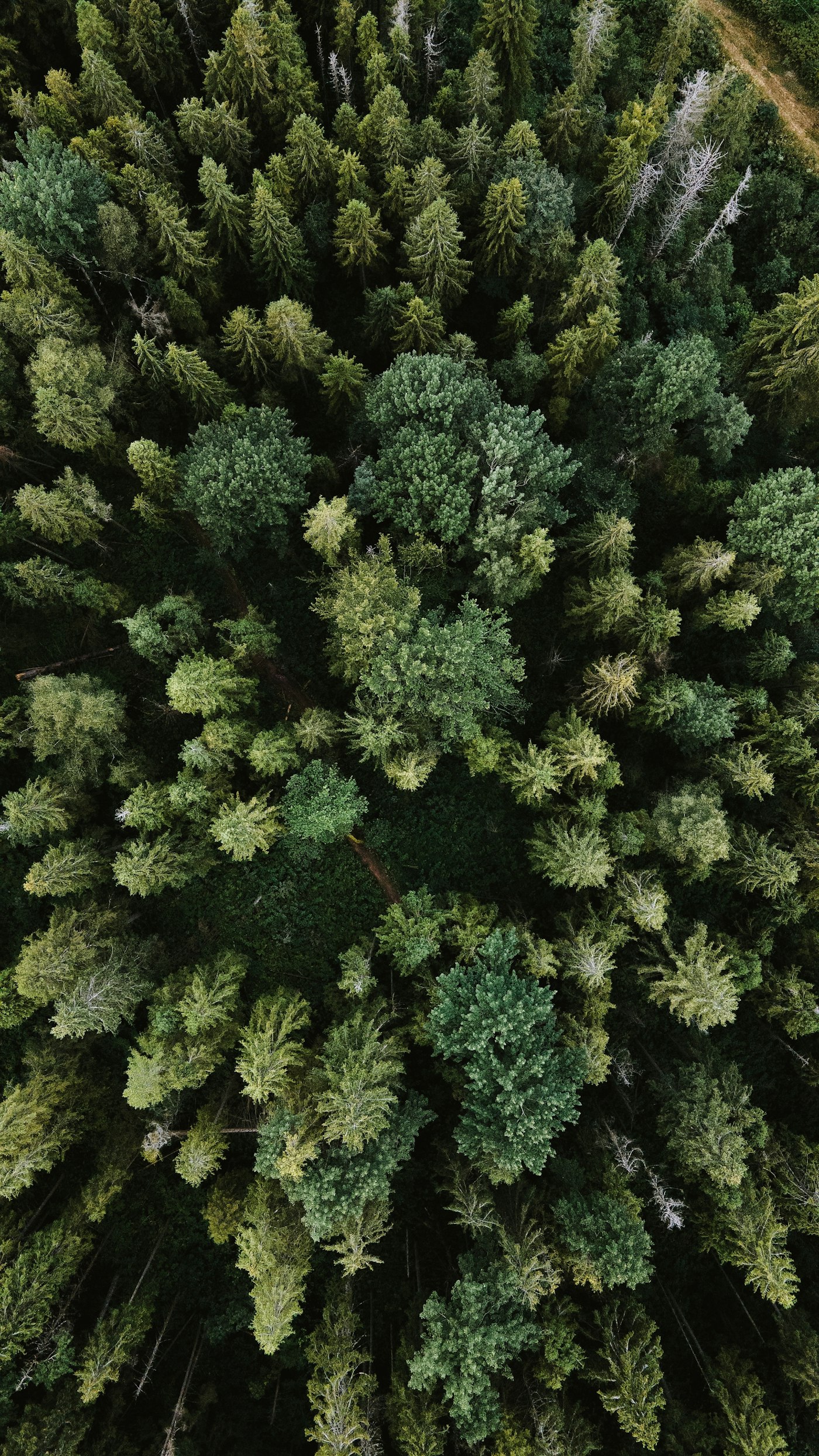 Naturaleza de Villa Marina