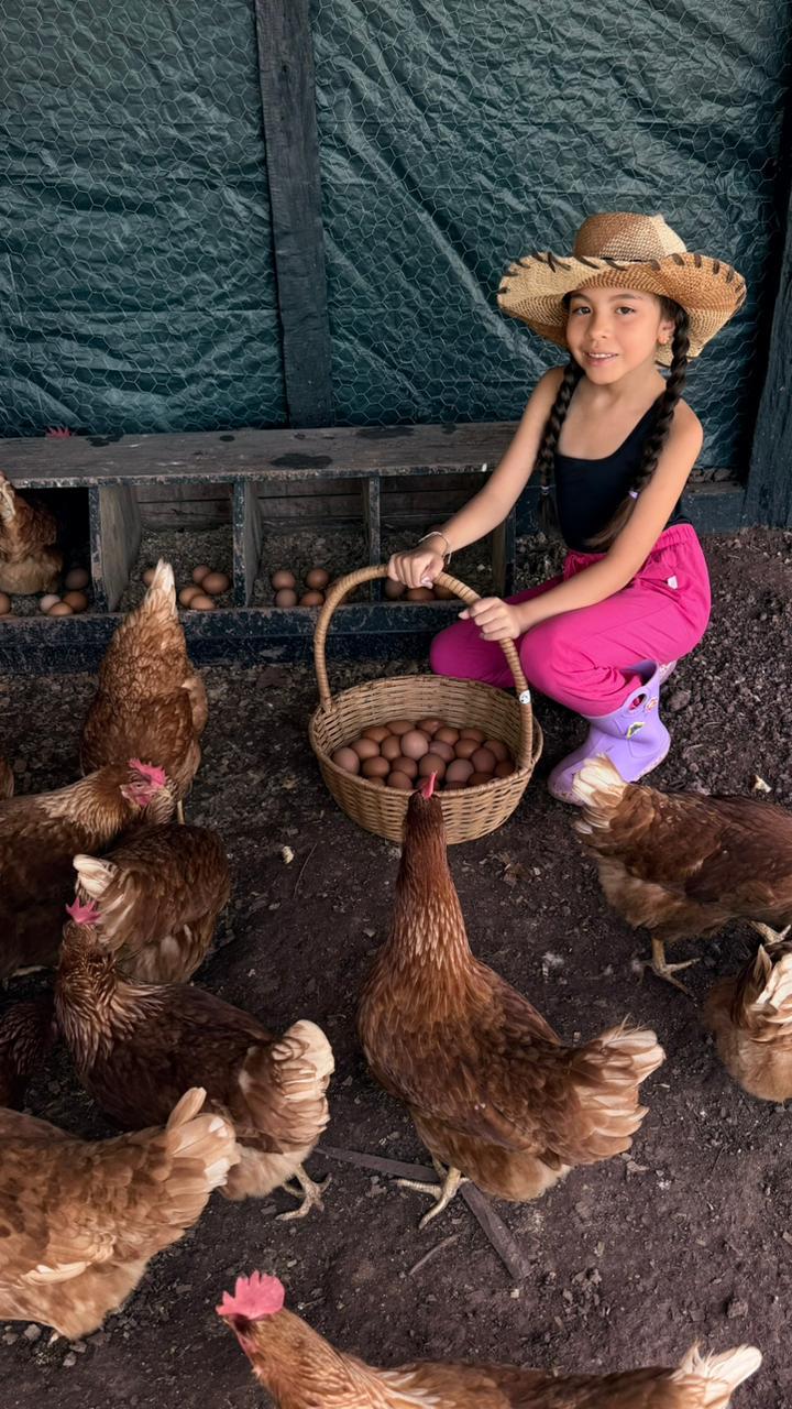 Niña de la familia recogiendo la canasta de huevos del día en Villa Marina