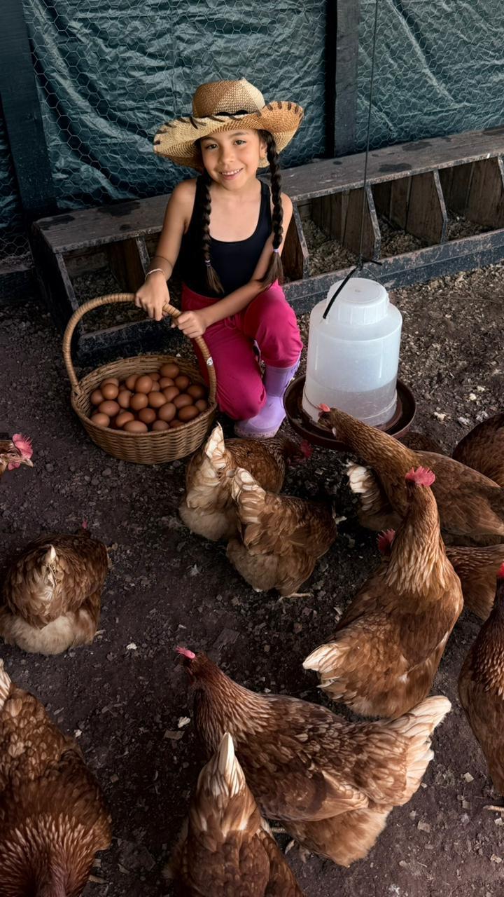 La canasta del día rodeada de gallinas en Villa Marina