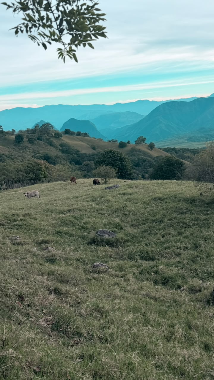 Montañas y potreros de Valparaíso, Antioquia, vistos desde la finca