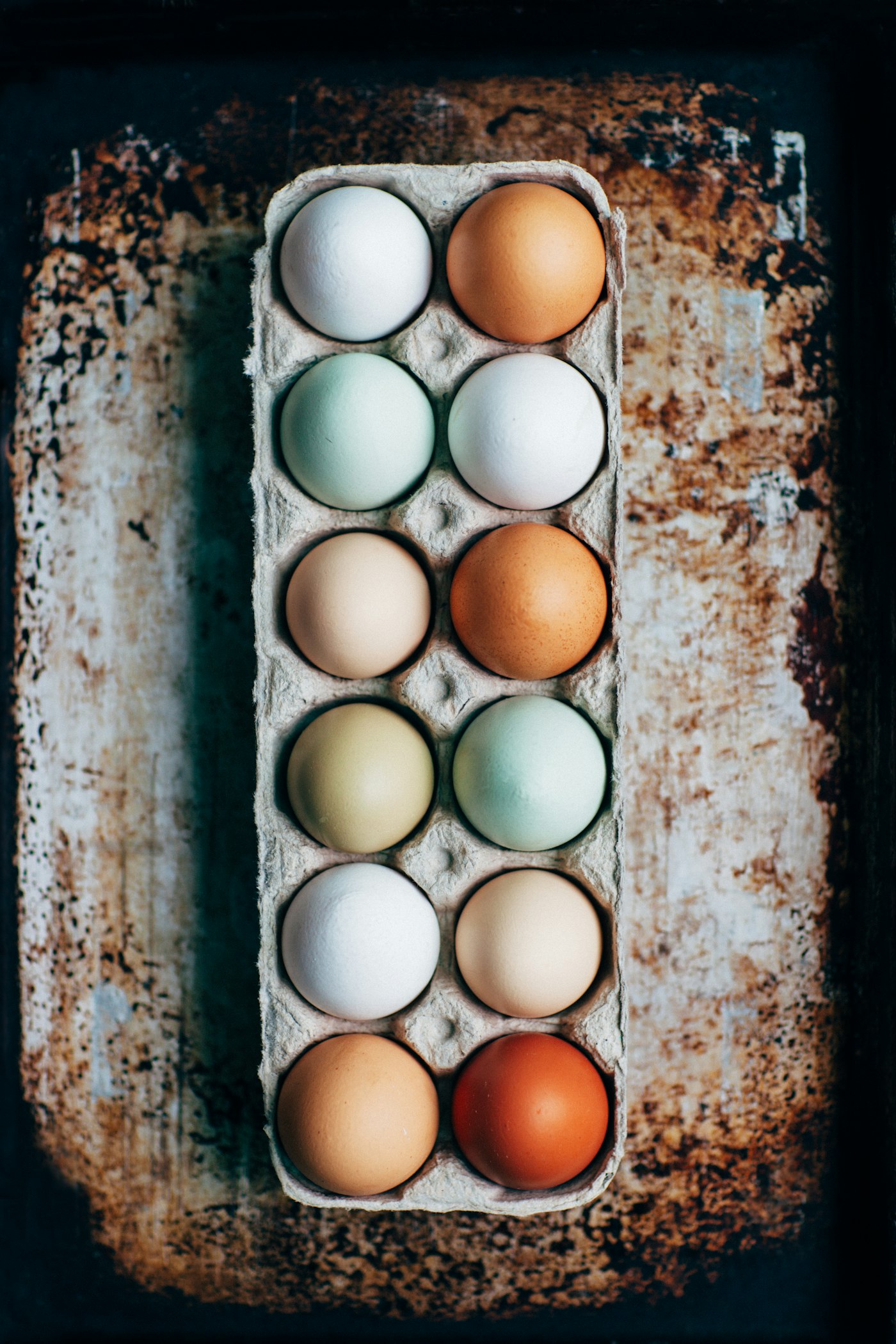 Docena de Huevos Frescos